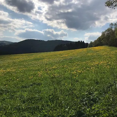 Schneeweiß