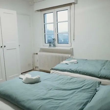 Schneeweiß Ferienhaus *