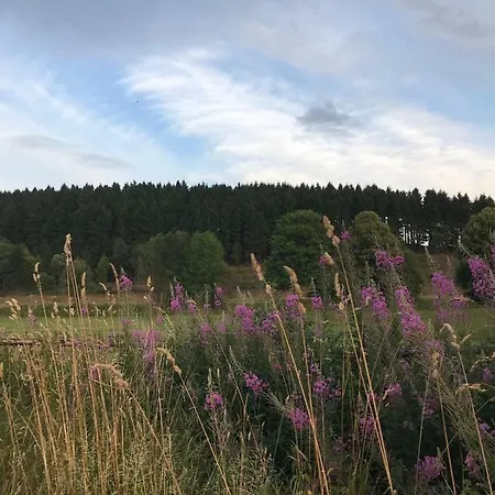 Schneeweiß